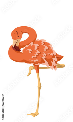 Bird pink flamingo sleeping vector cartoon illustration