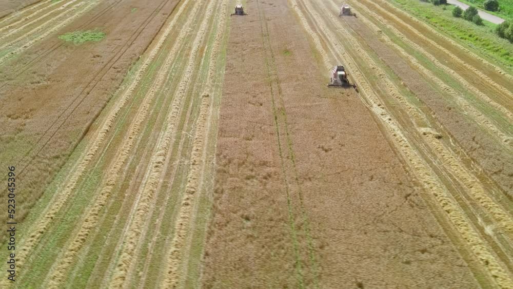 Aerial view of lorry cargo truck driving on dirt road between agricultural wheat fields. Transportation of grain after being harvested by combine harvester during harvesting season. Aerial view of lorry cargo truck driving on dirt road between agricultural wheat fields. Transportation of grain after being harvested by combine harvester during harvesting season.