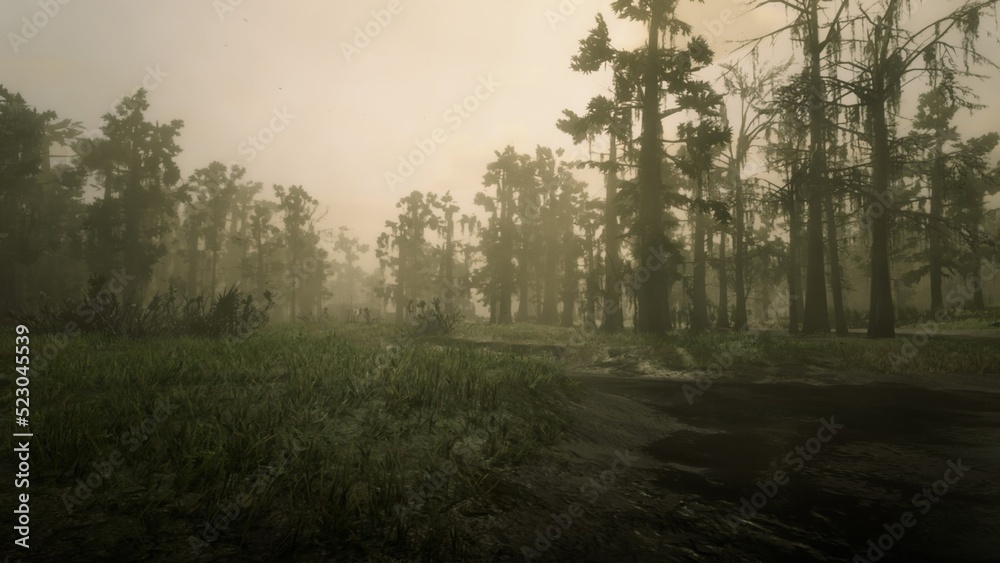 Obraz premium morning in the forest