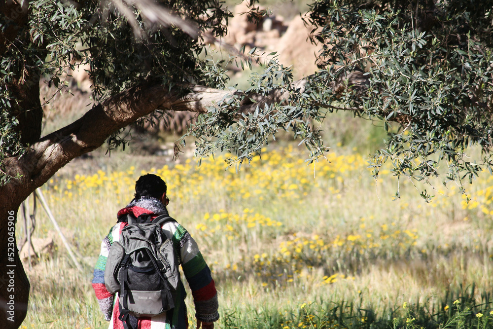 hiking in a tunisian oasis
hiking in a tunisian oasis