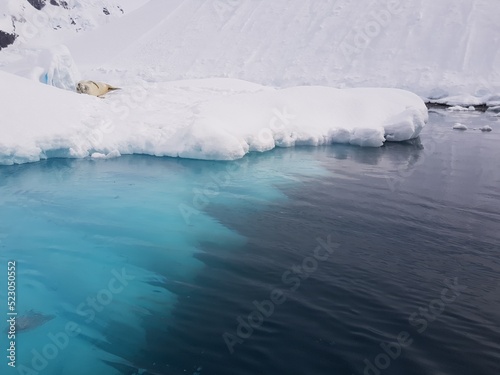 iceberg in polar regions - Antarctica 