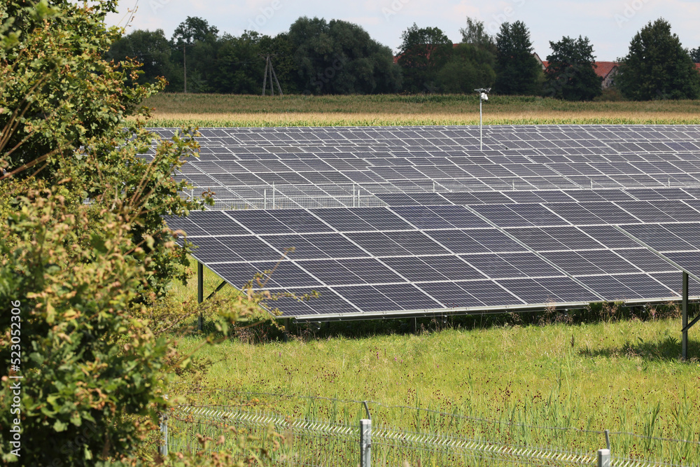 Farma ekologicznych paneli słonecznych na polanie. - obrazy, fototapety, plakaty 