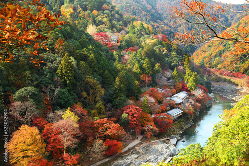 紅葉の嵐山 亀山公園展望台からの眺め