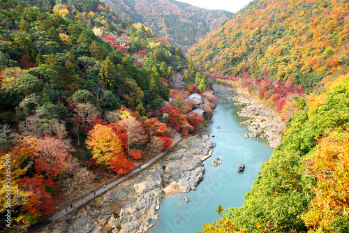 紅葉の嵐山　亀山公園展望台からの眺め