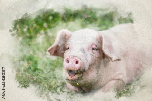 Pig portrait watercolor digital illustration. Digital painting of piglets at free range organic pig pork farm    © uskarp2