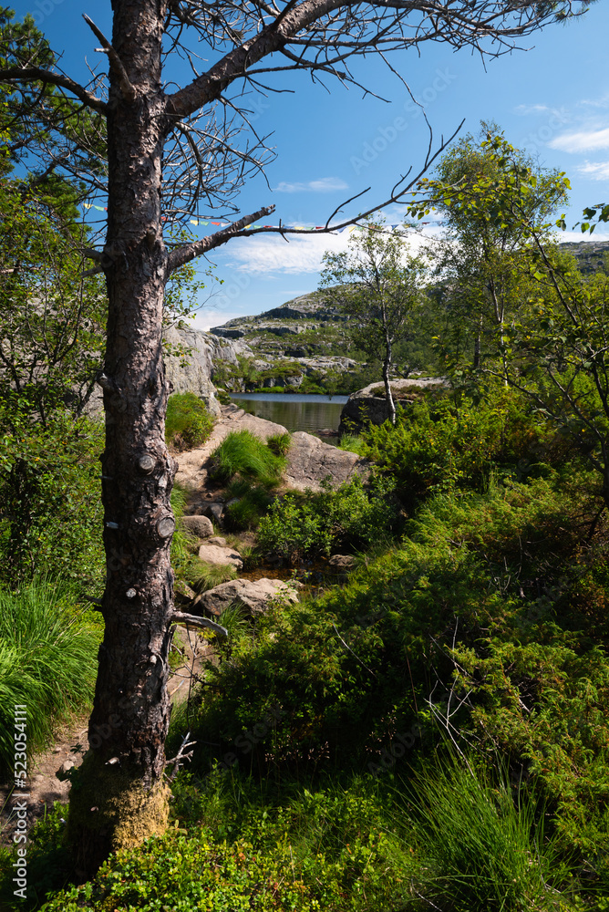 Fototapeta premium Clear mirror-like mountain lake in the area around Pulpit Rock (Preikestolen), Savanger, Norway