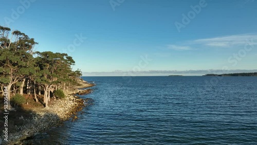 Wallpaper Mural flying over the beach, waves and ocean next to the forest. evening light on waves crashing on rocks Torontodigital.ca