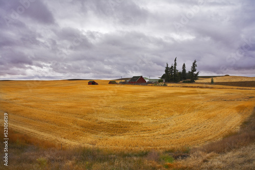 The farm in fields of Montana © Kushnirov Avraham