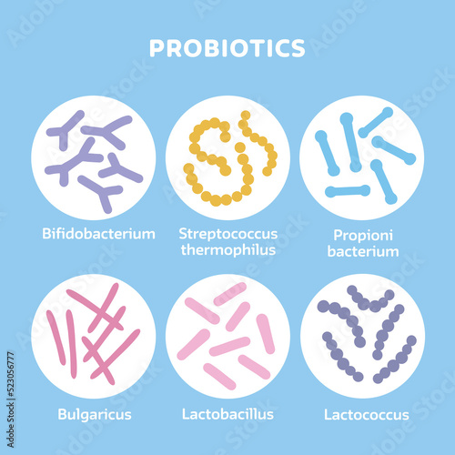 Probiotics bacteria set. Gut microbiota with healthy prebiotic bacillus. Lactobacillus, streptococcus, bifidobacteria and other microorganisms for biotechnology. Flat vector illustration.