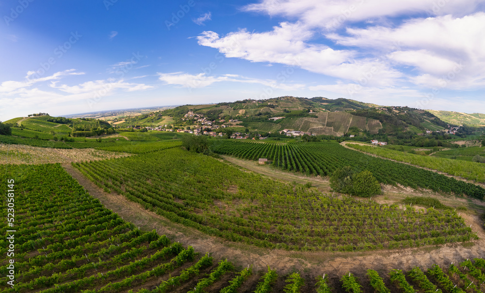 Vineyard plantations, panoramic aerial view north of Italy. Blue sky, clouds, countryside hills in Summer
