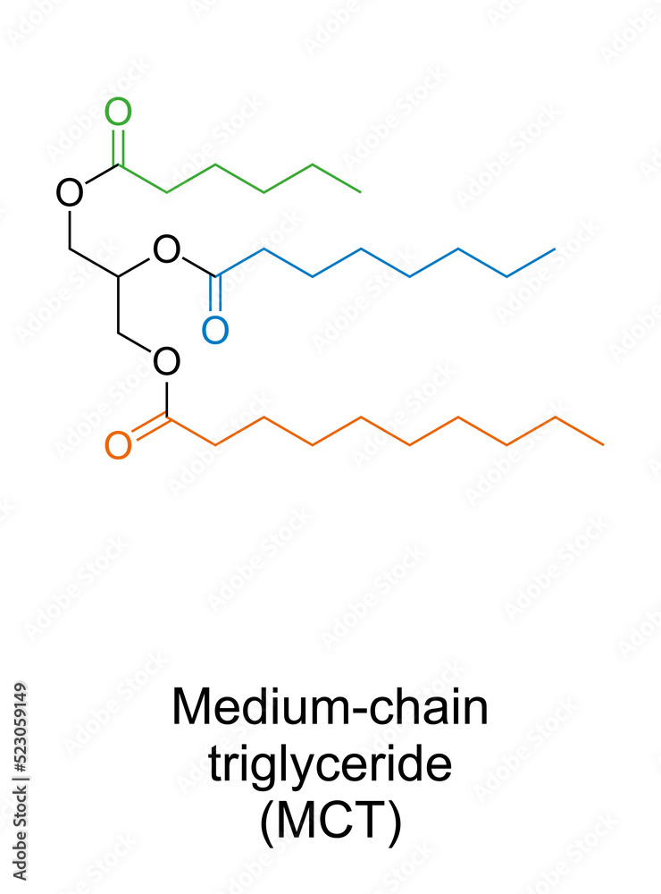 Medium-chain triglyceride, MCT, chemical structure. Example with 3 medium-chain fatty acids. Caproic acid in green, caprylic in blue and capric acid in orange. Used in ketogenic diet and bodybuilding. Medium-chain triglyceride, MCT, chemical structure. Example with 3 medium-chain fatty acids. Caproic acid in green, caprylic in blue and capric acid in orange. Used in ketogenic diet and bodybuilding.
