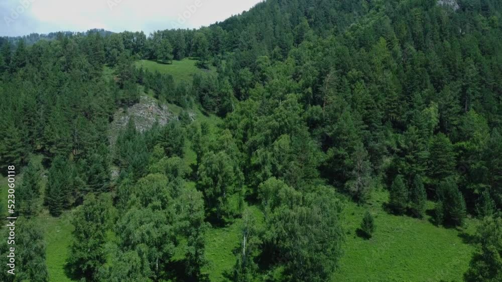 A mountain river flowing in the countryside among the green mountains. Aerial photography. Altai Republic, Russia. High quality Full HD footage A mountain river flowing in the countryside among the green mountains. Aerial photography. Altai Republic, Russia. High quality Full HD footage