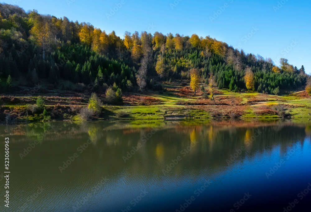 Landscape of Acelle Plateau in Sakarya Turkey with lake and reflections of trees and grass in autumn blue sky sunny weather Landscape of Acelle Plateau in Sakarya Turkey with lake and reflections of trees and grass in autumn blue sky sunny weather