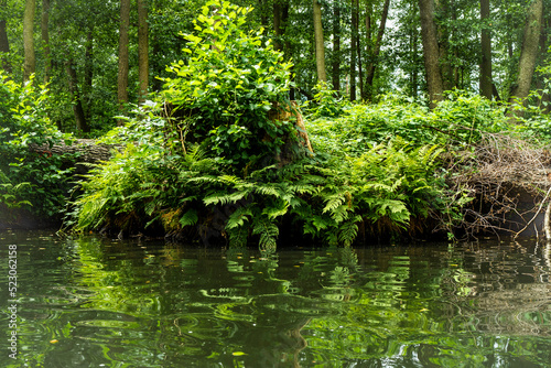 Der Spreewald- mit dem Kajak unterwegs 2