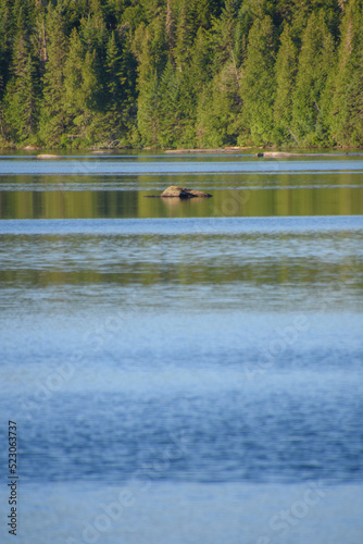 Fishing on a beautiful wild lake in the Canadian forest in Quebec