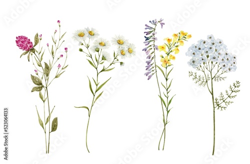 set of bouquets of wild flowers watercolor illustration.