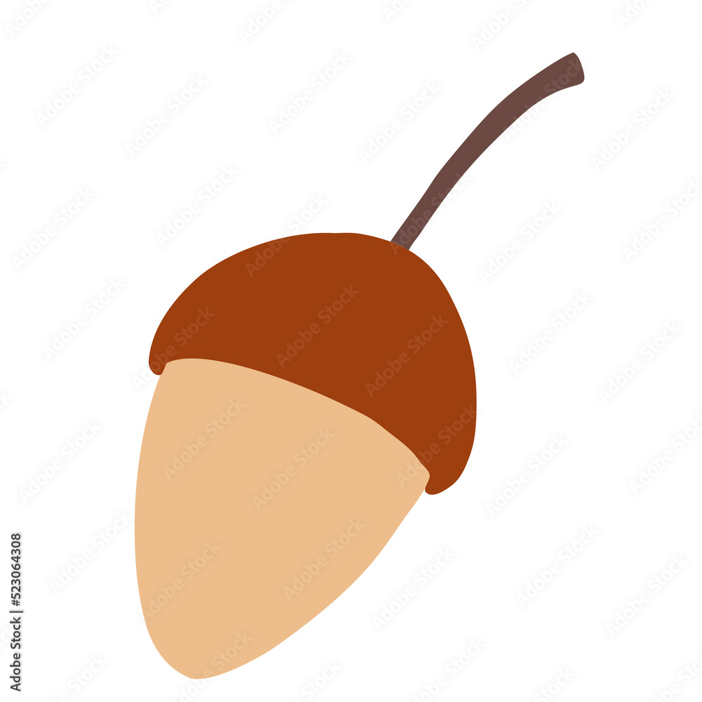 Vector acorn clipart illustration. Acorn isolated on a white background.