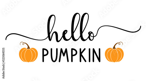Obraz na płótnie Vector autumn quote Hello Pumpkin with autumn pumpkin isolated on white background. w salonie