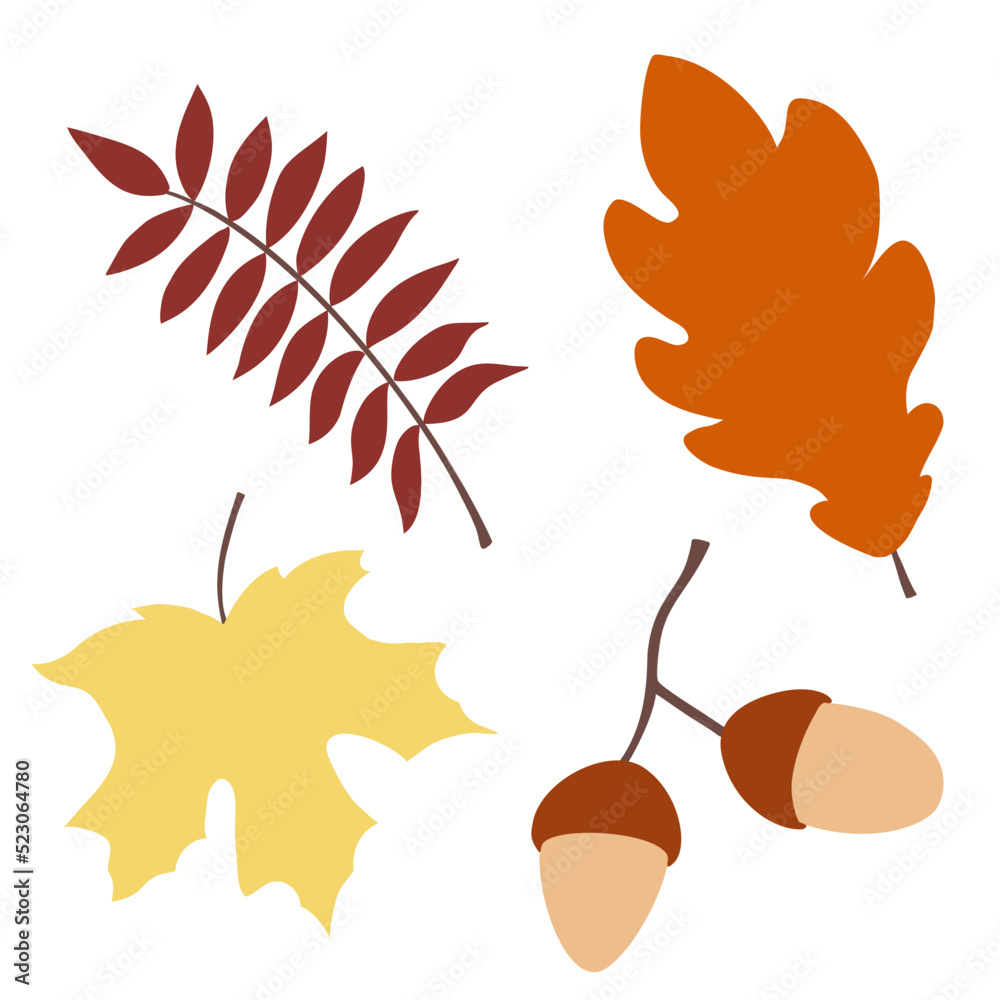 Automn Leaf Vector Icon Illustration in flat design.
