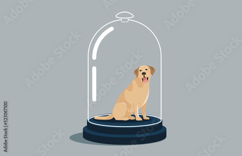 Worried dog Labrador in the glass dome, depression and mental health issues. Limitation, punishment with no freedom. photo