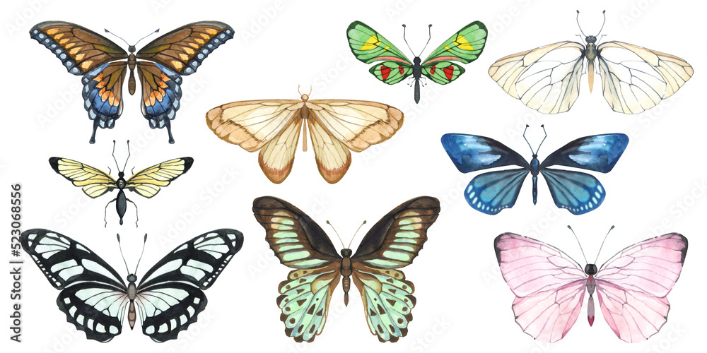 set of watercolor illustrations of butterflies, dragonflies and flying insects.  Realistic illustrations of multi-colored butterflies of different breeds, Tropical butterflies for stickers, diary, 