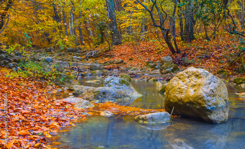 Fototapeta Naklejka Na Ścianę i Meble -  small river rushing through mountain canyon, autumn natural mountain river background