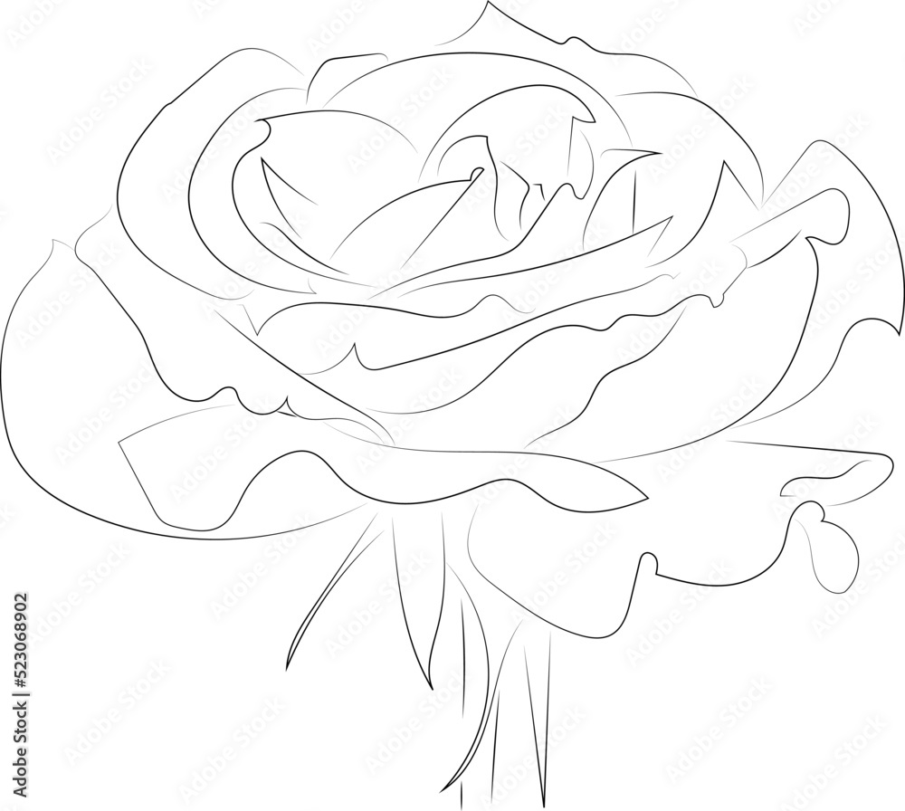 A simple black and white vector line pattern of a flower on a white background. Rose flower. A simple black and white vector line pattern of a flower on a white background. Rose flower.