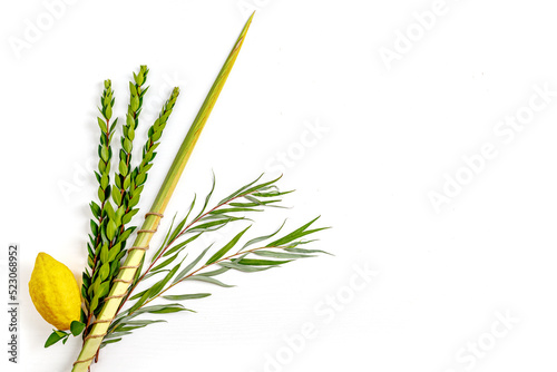 Jewish holiday of Sukkot. Traditional symbols (The four species): Etrog (citron), lulav (palm branch), hadas (myrtle), arava (willow) photo