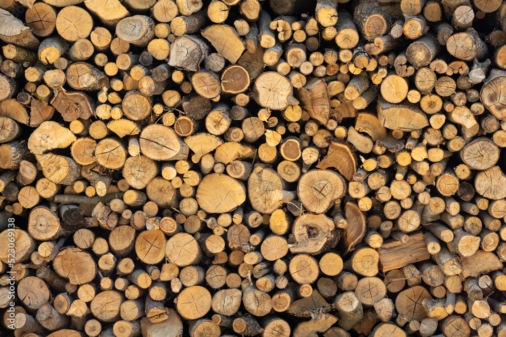 Tree stumps background. Trees cut section. Cross section of tree trunks background. Tree stumps background. Trees cut section. Cross section of tree trunks background.