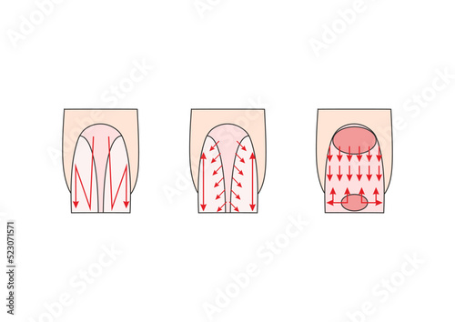 Manicure instruction. Nails vector illustrations. Lady fingers.