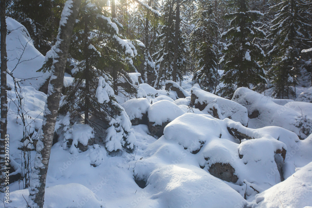 Repovesi National Park, aerial winter view, landscape view of a finnish park, southern Finland, Kouvola and Mantyharju, region of Kymenlaakso, with a group of tourists and wooden infrastructure