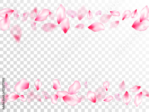 Spring blossom isolated petals flying