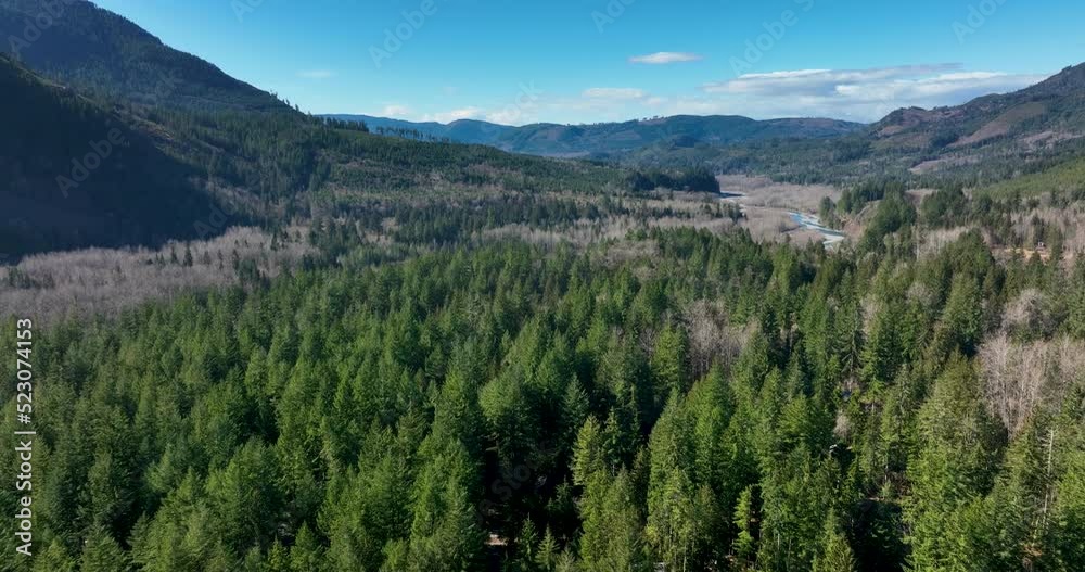 Distant View of Nooksak River Whatcom County Forest in Glacier Maple Falls Washington USA