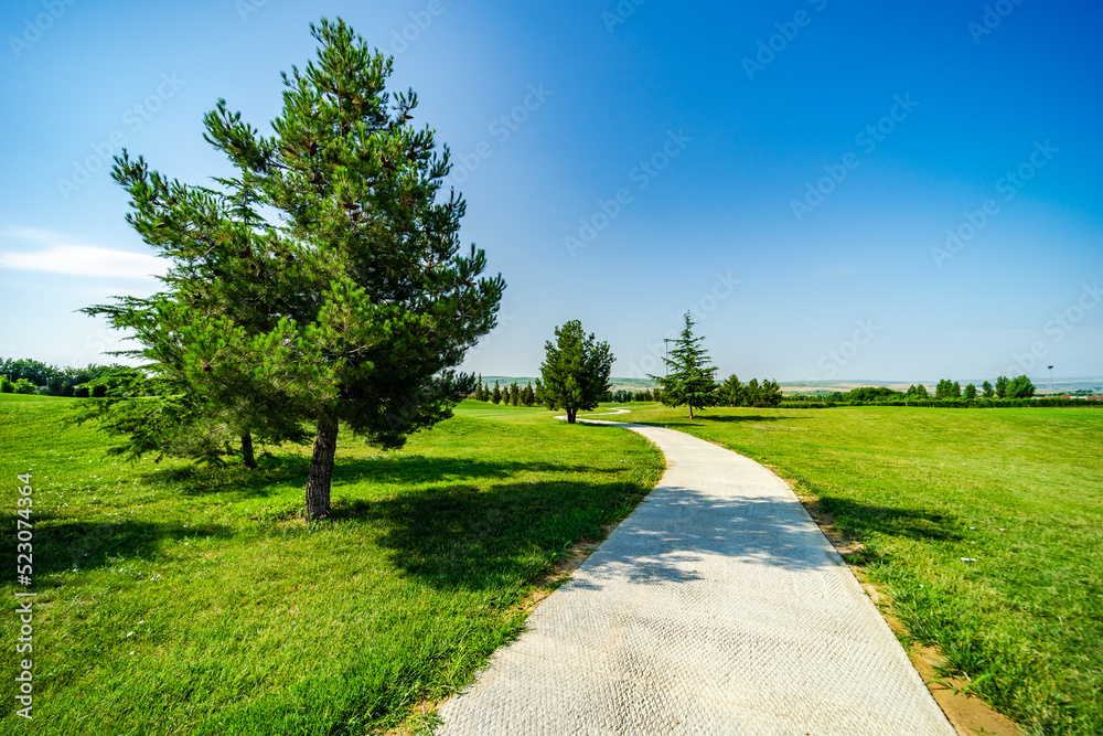 Naklejka premium Golf grassland in kakheti, Georgia