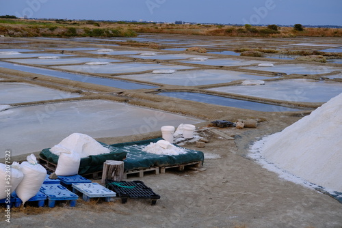 Canvas Print The harvesting salt in summer at the salt marshes of Guérande in the west of France