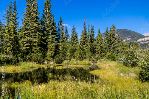 Views from the valley. Bow Valley Provincial Park. Alberta, Canada photo