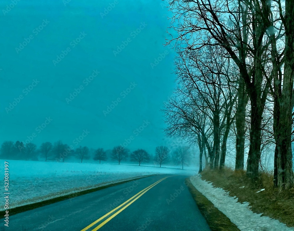 Fototapeta premium road in the fog