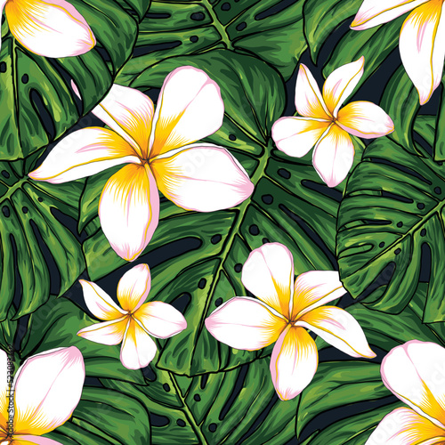 Seamless pattern monstera green leaf and frangipani flowers background.Vector illustration dry watercolor hand drawing stlye.Fabric design texitle