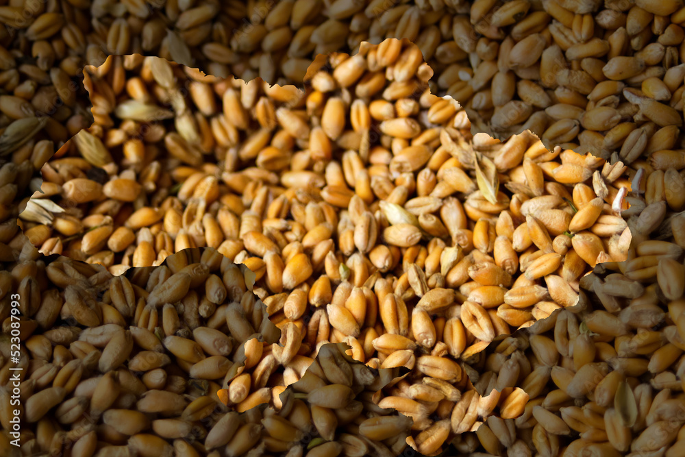 Defocus food crisis. Ukraine map. Global and European grain and wheat crisis in Ukraine. Export barley. Farming. Oats, barley, rye on ukrainian flag background. Out of focus Defocus food crisis. Ukraine map. Global and European grain and wheat crisis in Ukraine. Export barley. Farming. Oats, barley, rye on ukrainian flag background. Out of focus
