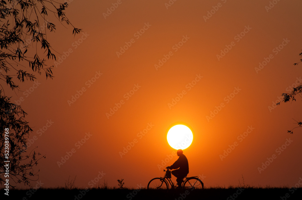 Silhouette of a man riding a bike at summer sunset