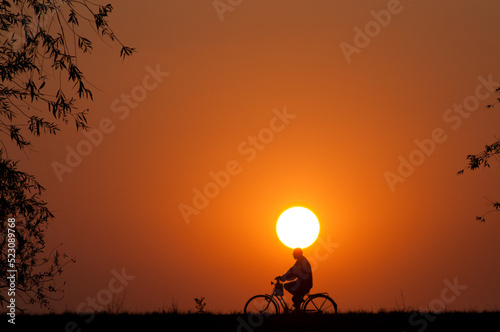 Silhouette of a man riding a bike at summer sunset