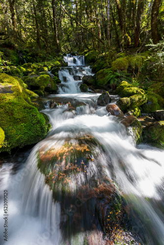 waterfall in the forest