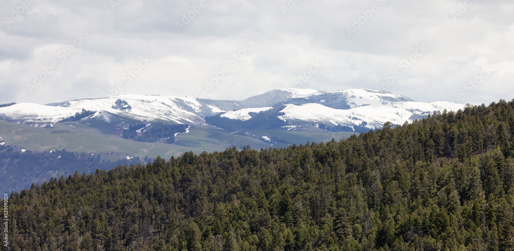 Green field, river and Mountain in the American Landscape. Yellowstone National Park, Wyoming. United States. Nature Background.