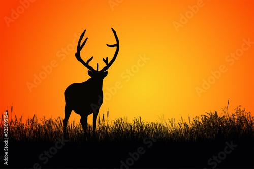 Lonely reindeer in grass field with evening sky background