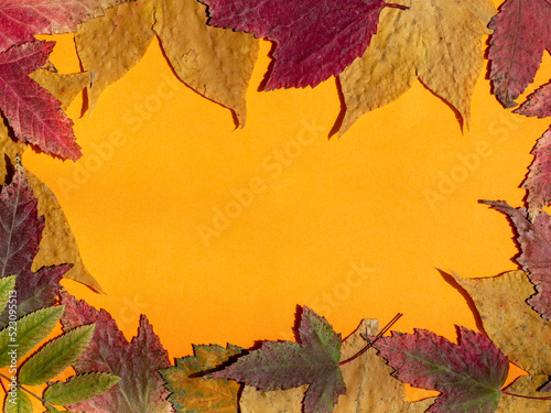 border frame of colorful autumn maple leaves on bright orange background  Top view  flat lay  copy space