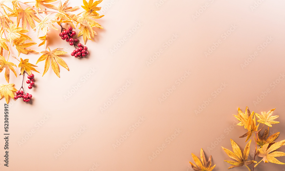 Autumn and thanksgiving decoration concept made from autumn leaves, berry and pumpkin on dark background. Flat lay, top view with copy space. Autumn and thanksgiving decoration concept made from autumn leaves, berry and pumpkin on dark background. Flat lay, top view with copy space.