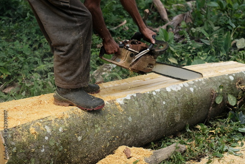 A worker cuts wood with a woodcutter located in Blangpidie photo