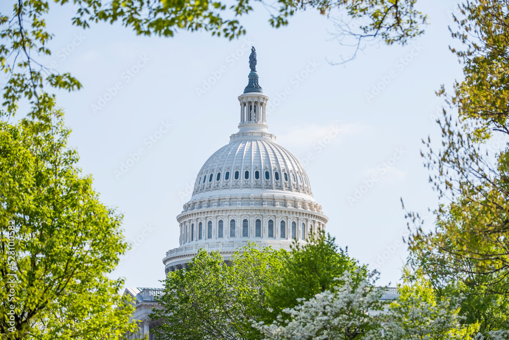 Φωτογραφία Dome of the US Capitol building as seen through the foliage