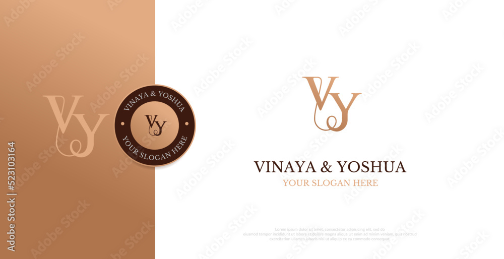 Initial VY Logo Design Vector