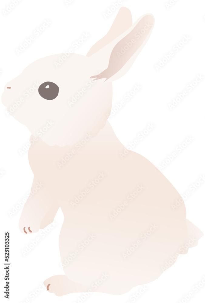 かわいい白いウサギのベクターイラストカット 立ち上がる, 様子を見る かわいい白いウサギのベクターイラストカット 立ち上がる, 様子を見る